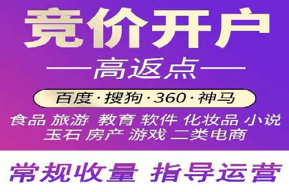SEM代运营案例分析：精准投放策略解析